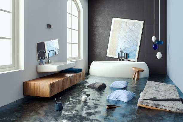 Best Ceiling water damage repair  in Sycamore, IL