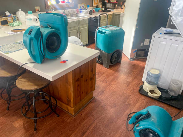Best 24/7 water damage repair  in Sycamore, IL