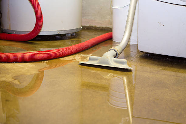 Best Carpet water damage restoration  in Sycamore, IL