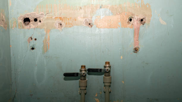 Best Emergency water damage restoration  in Sycamore, IL