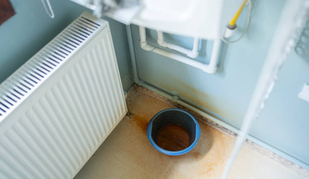 Best Water damage contractors near me  in Sycamore, IL