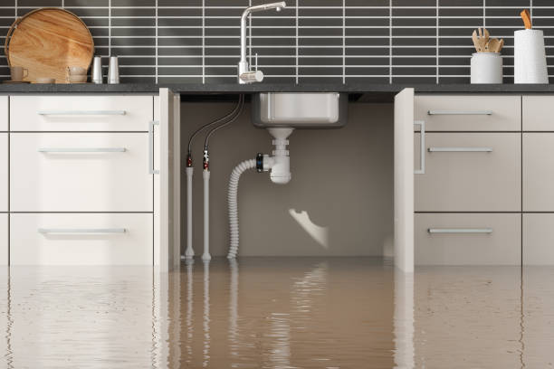 Best Local water damage restoration  in Sycamore, IL